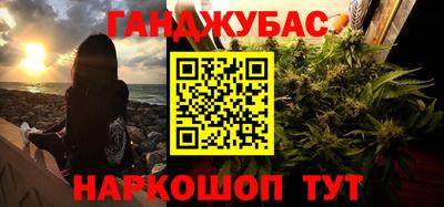 шишки Будённовск