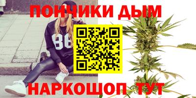 шишки Будённовск